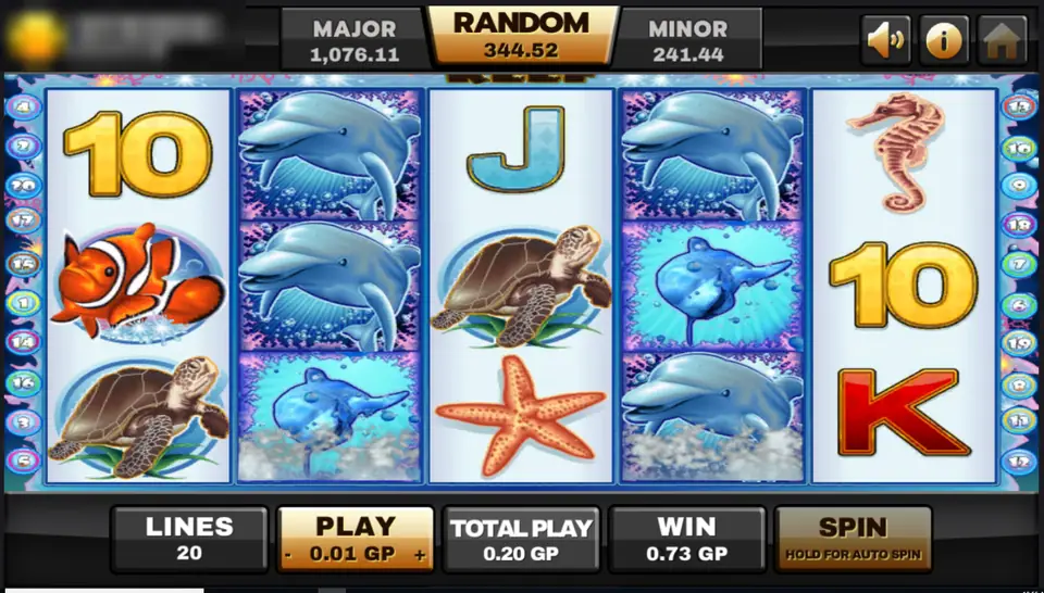Dolphin Reef reels on Joker123 with stacked dolphin wilds on reels two and four, a clownfish, a turtle and a starfish